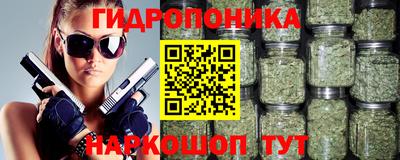 гидра Тара