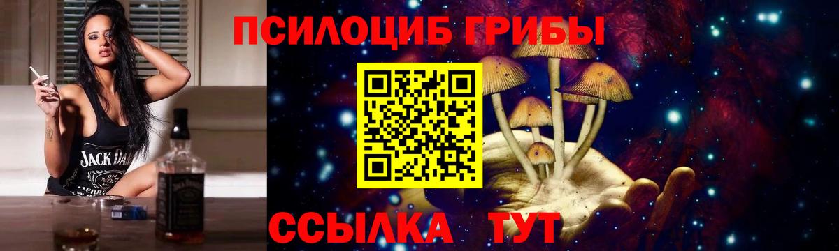 Галлюциногенные грибы мицелий  Вход с VPN  Мичуринск  Галлюциногенные грибы MAGIC MUSHROOMS 