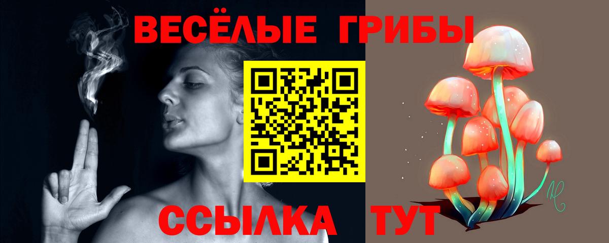 Псилоцибиновые грибы мухоморы Мичуринск